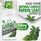 HXN Papaya Leaf Extract 60 Tablets